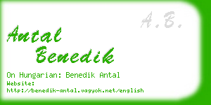 antal benedik business card
